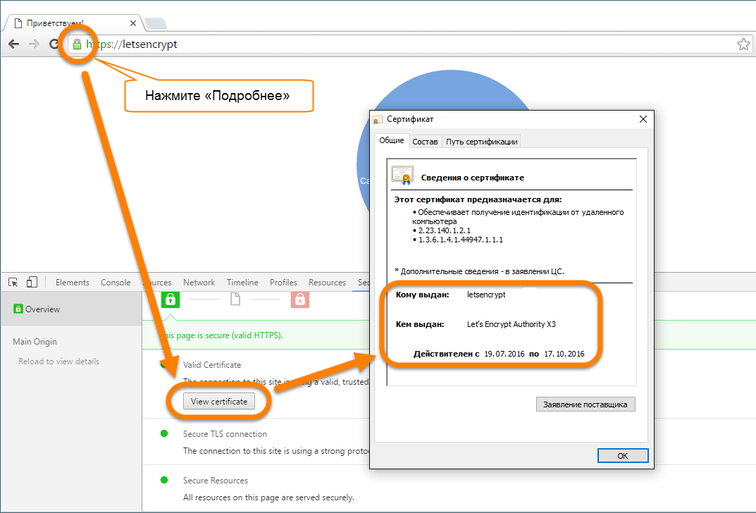 Проверить срок действия сертификата сайта. SSL сертификат. Просрочен сертификат SSL. Проверять действительность SSL-сертификата. Как узнать SSL сертификат сайта
